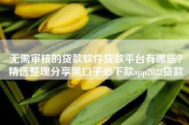 无需审核的贷款软件贷款平台有哪些？精选整理分享黑口子必下款app2022贷款
