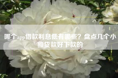 哪个app借款利息低有哪些？盘点几个小额贷款好下款的