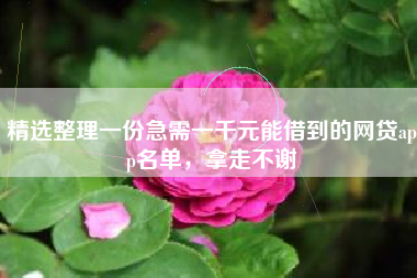 精选整理一份急需一千元能借到的网贷app名单，拿走不谢