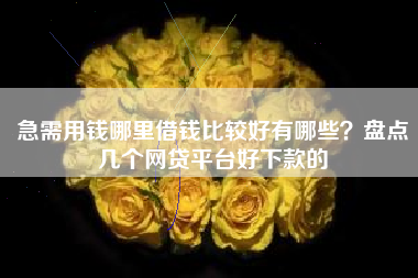 急需用钱哪里借钱比较好有哪些？盘点几个网贷平台好下款的
