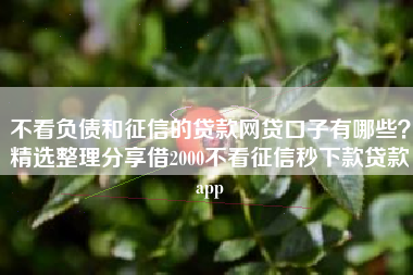 不看负债和征信的贷款网贷口子有哪些？精选整理分享借2000不看征信秒下款贷款app