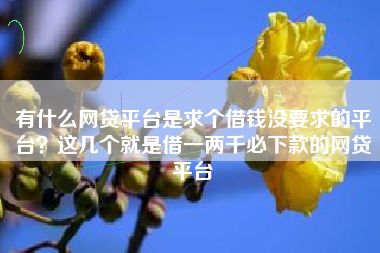 有什么网贷平台是求个借钱没要求的平台?这几个就是借一两千必下款的网贷平台 有什么网贷平台是求个借钱没要求的平台?这几个就是借一两千必下款的网贷平台