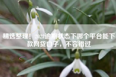 精选整理！2022逾期状态下哪个平台能下款网贷口子，不容错过