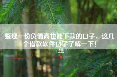 整理一份负债高也能下款的口子，这几个借款软件口子了解一下！