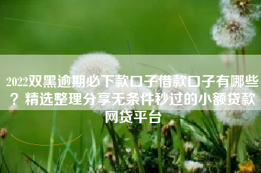 2022双黑逾期必下款口子借款口子有哪些？精选整理分享无条件秒过的小额贷款网贷平台