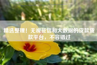 精选整理！无视征信和大数据的贷款贷款平台，不容错过