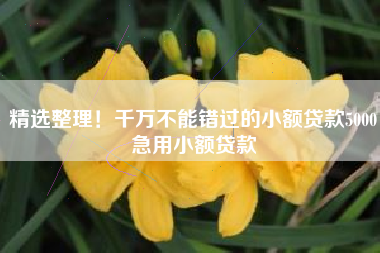 精选整理！千万不能错过的小额贷款5000急用小额贷款