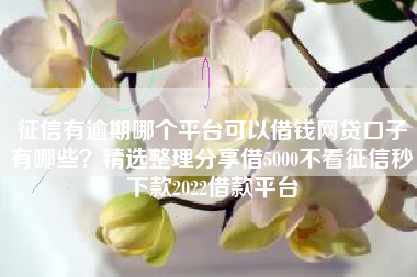 征信有逾期哪个平台可以借钱网贷口子有哪些？精选整理分享借5000不看征信秒下款2022借款平台