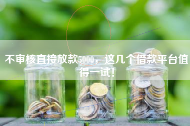 不审核直接放款5000，这几个借款平台值得一试！