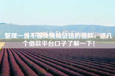 整理一份不看负债和征信的贷款，这几个借款平台口子了解一下！
