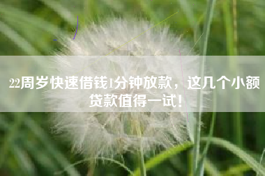 22周岁快速借钱1分钟放款，这几个小额贷款值得一试！