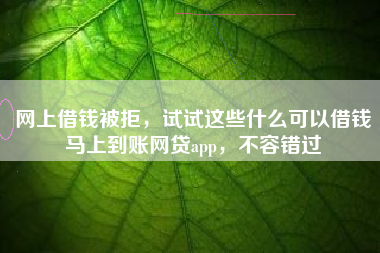 网上借钱被拒，试试这些什么可以借钱马上到账网贷app，不容错过