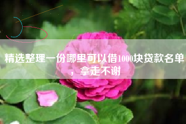 精选整理一份哪里可以借1000块贷款名单，拿走不谢