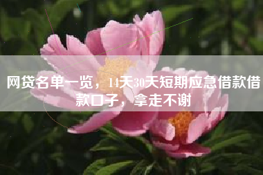 网贷名单一览，14天30天短期应急借款借款口子，拿走不谢