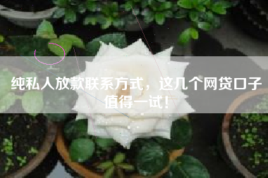 纯私人放款联系方式，这几个网贷口子值得一试！