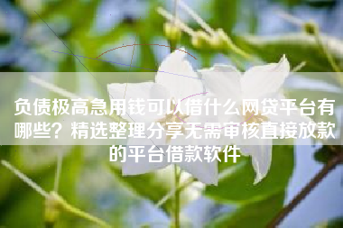 负债极高急用钱可以借什么网贷平台有哪些？精选整理分享无需审核直接放款的平台借款软件