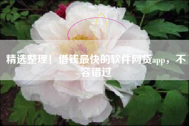 精选整理!借钱最快的软件网贷app,不容错过 精选整理!借钱最快的软件网贷app,不容错过