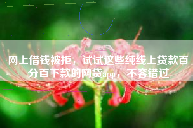 网上借钱被拒,试试这些纯线上贷款百分百下款的网贷app,不容错过 网上借钱被拒,试试这些纯线上贷款百分百下款的网贷app,不容错过