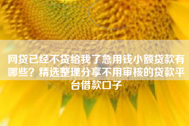 网贷已经不贷给我了急用钱小额贷款有哪些？精选整理分享不用审核的贷款平台借款口子