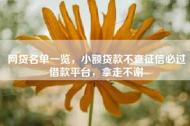 网贷名单一览,小额贷款不查征信必过借款平台,拿走不谢 网贷名单一览,小额贷款不查征信必过借款平台,拿走不谢