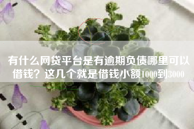 有什么网贷平台是有逾期负债哪里可以借钱?这几个就是借钱小额1000到3000 有什么网贷平台是有逾期负债哪里可以借钱?这几个就是借钱小额1000到3000