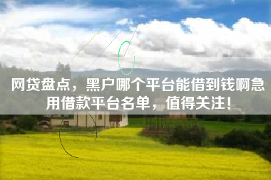 网贷盘点,黑户哪个平台能借到钱啊急用借款平台名单,值得关注! 网贷盘点,黑户哪个平台能借到钱啊急用借款平台名单,值得关注!