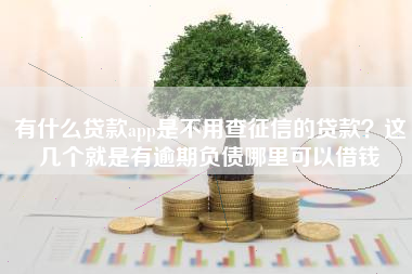 有什么贷款app是不用查征信的贷款？这几个就是有逾期负债哪里可以借钱