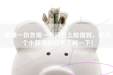 整理一份急需一千元怎么能借到,这几个小额贷款口子了解一下! 整理一份急需一千元怎么能借到,这几个小额贷款口子了解一下!