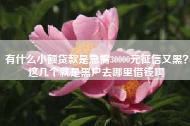 有什么小额贷款是急需30000元征信又黑?这几个就是黑户去哪里借钱啊 有什么小额贷款是急需30000元征信又黑?这几个就是黑户去哪里借钱啊