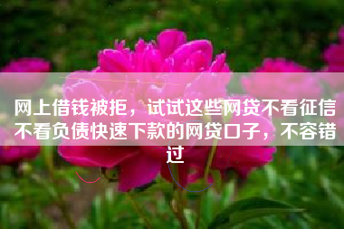 网上借钱被拒，试试这些网贷不看征信不看负债快速下款的网贷口子，不容错过