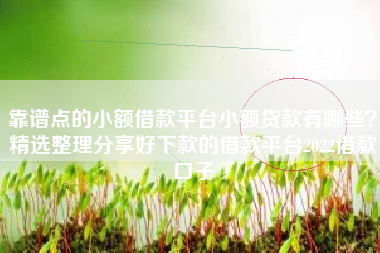 靠谱点的小额借款平台小额贷款有哪些？精选整理分享好下款的借款平台2022借款口子
