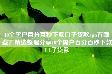 10个黑户百分百秒下款口子贷款app有哪些？精选整理分享10个黑户百分百秒下款口子贷款