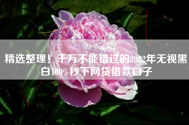 精选整理！千万不能错过的2022年无视黑白100%秒下网贷借款口子