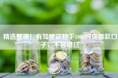 精选整理！有驾驶证秒下1000网贷借款口子，不容错过