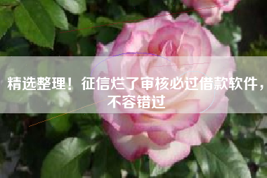 精选整理！征信烂了审核必过借款软件，不容错过