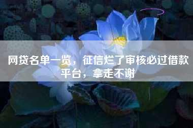 网贷名单一览，征信烂了审核必过借款平台，拿走不谢