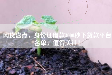 网贷盘点，身份证借款3000秒下贷款平台名单，值得关注！