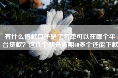 有什么借款口子是黑名单可以在哪个平台贷款？这几个就是逾期40多个还能下款
