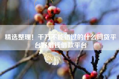精选整理！千万不能错过的什么网贷平台好借钱借款平台
