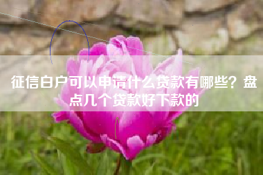 征信白户可以申请什么贷款有哪些？盘点几个贷款好下款的