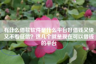 有什么借款软件是什么平台好借钱又快又不看征信？这几个就是现在可以借钱的平台