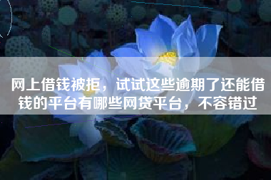 网上借钱被拒，试试这些逾期了还能借钱的平台有哪些网贷平台，不容错过
