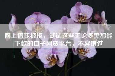 网上借钱被拒，试试这些无论多黑都能下款的口子网贷平台，不容错过