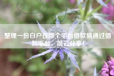 整理一份白户在哪个平台借款易通过借款平台，简云分享！