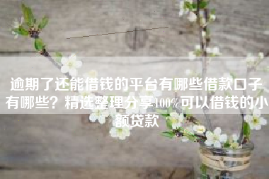 逾期了还能借钱的平台有哪些借款口子有哪些？精选整理分享100%可以借钱的小额贷款