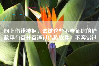 网上借钱被拒，试试这些不查征信的借款平台百分百通过借款软件，不容错过