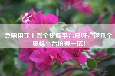 急需用钱上哪个贷款平台最好，这几个贷款平台值得一试！