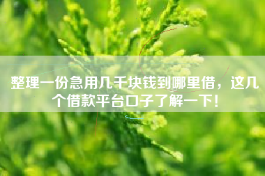 整理一份急用几千块钱到哪里借,这几个借款平台口子了解一下! 整理一份急用几千块钱到哪里借,这几个借款平台口子了解一下!