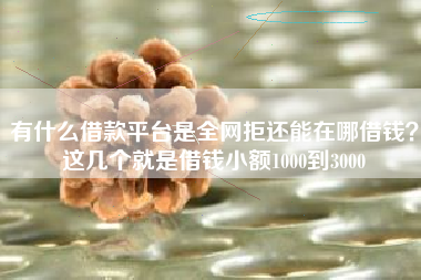 有什么借款平台是全网拒还能在哪借钱?这几个就是借钱小额1000到3000 有什么借款平台是全网拒还能在哪借钱?这几个就是借钱小额1000到3000