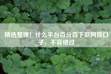 精选整理！什么平台百分百下款网贷口子，不容错过